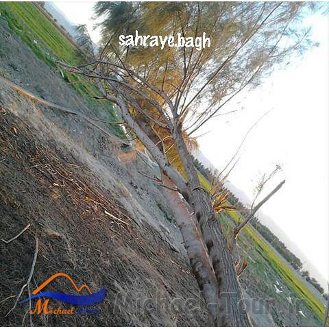 روستای خلور روستای خلور