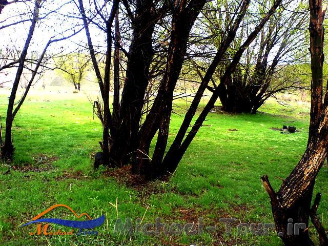 روستای شریف بیگلو روستای شریف بیگلو
