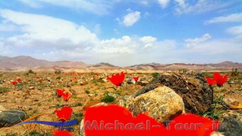 روستای تیغدر روستای تیغدر