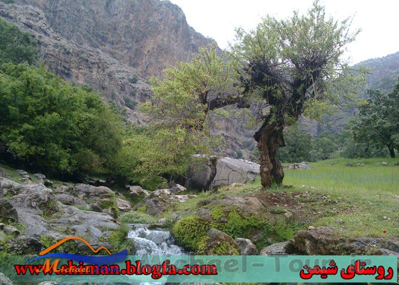 روستای شیمن روستای شیمن