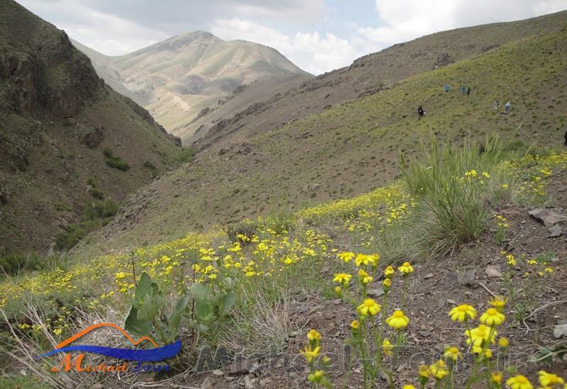 آبشار جنگلک آبشار جنگلک