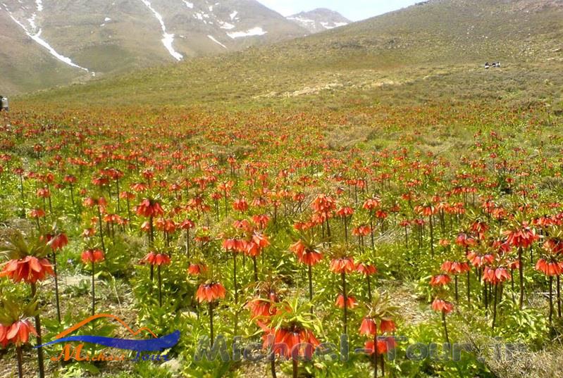 منطقه حفاظت شده گلستان کوه منطقه حفاظت شده گلستان کوه