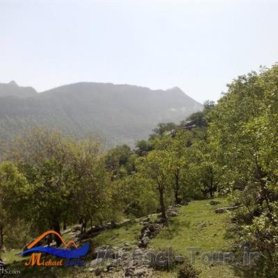 منطقه حفاظت شده کوه خامین