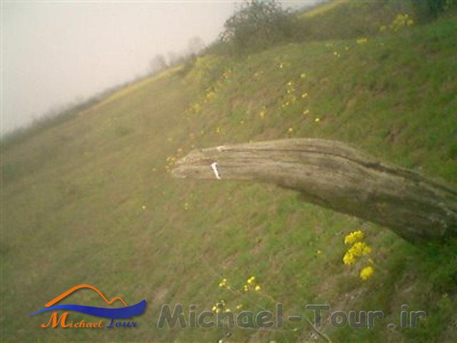 روستای چاف روستای چاف