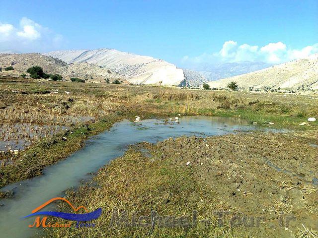 روستای كناره