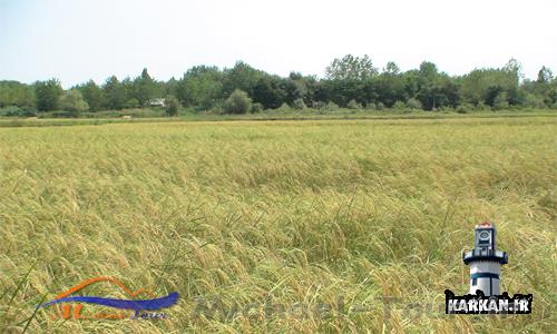 روستای پنابندان