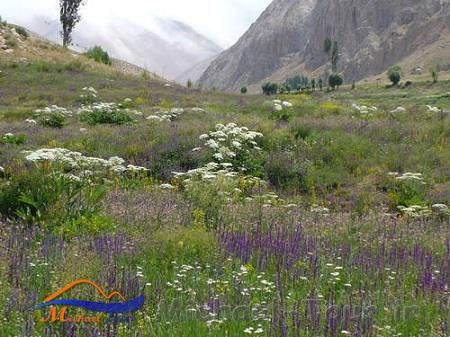 تنگه واشی تنگه واشی