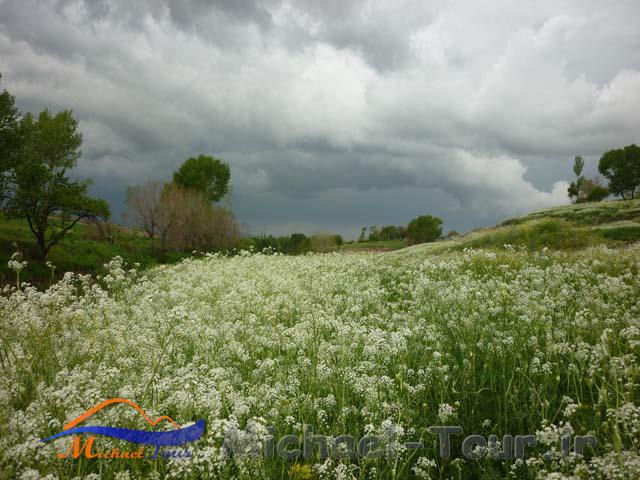 روستای شریف بیگلو روستای شریف بیگلو