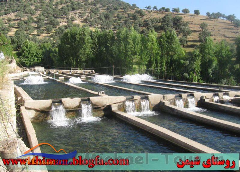 روستای شیمن روستای شیمن