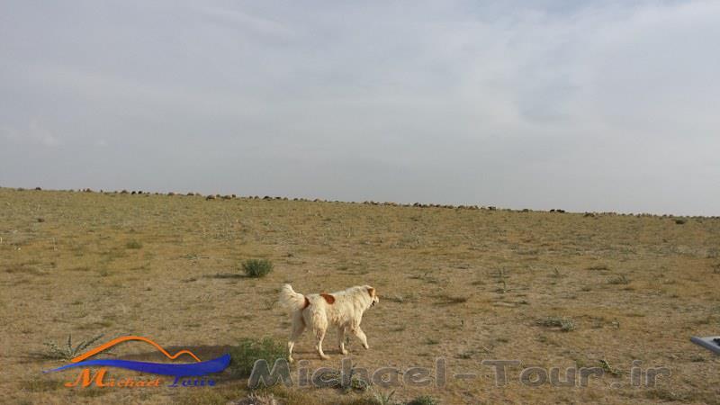 روستای ساراب