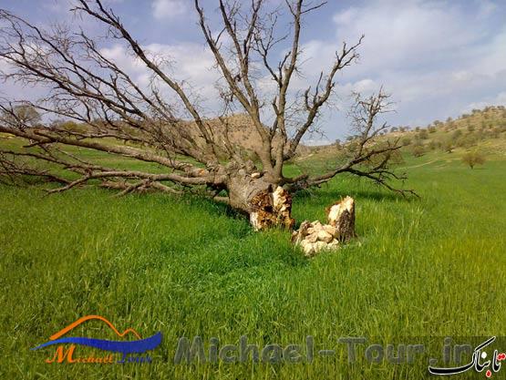 روستای رود ایک روستای رود ایک