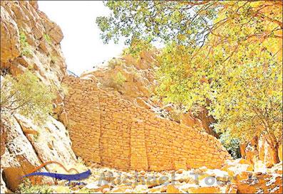 سرخه دیزه 