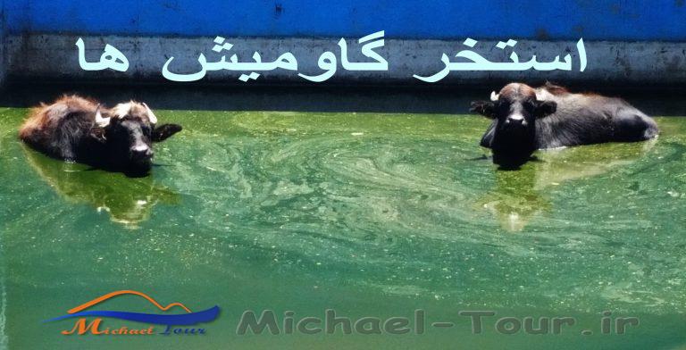 مزرعه گردشگری خورشید مزرعه گردشگری خورشید