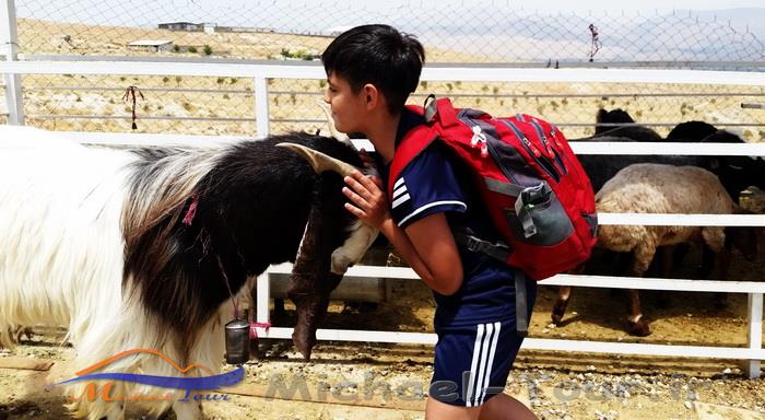 مزرعه گردشگری خورشید مزرعه گردشگری خورشید