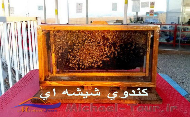 مزرعه گردشگری خورشید مزرعه گردشگری خورشید