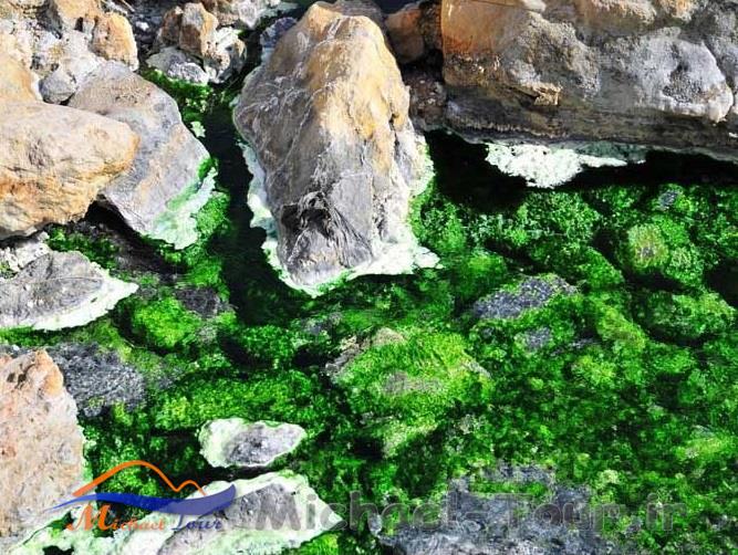 آبگرم سیاهکش آبگرم سیاهکش