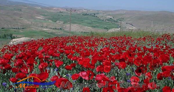 10 جای دیدنی زنجان در تابستان