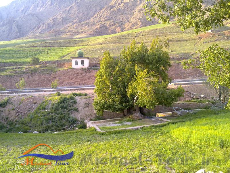 منطقه شکارممنوع چشمه ناز ونک منطقه شکارممنوع چشمه ناز ونک
