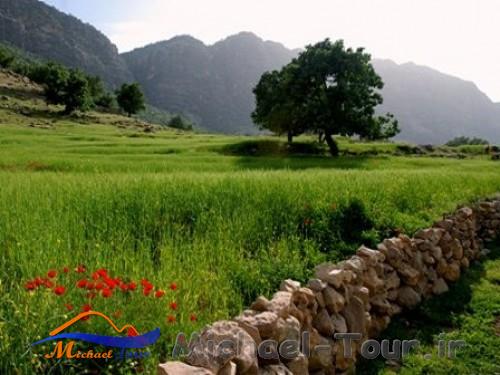 منطقه جنگلی بازفت منطقه جنگلی بازفت