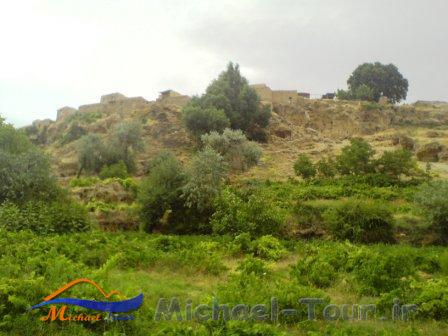تپه دارکانی تپه دارکانی