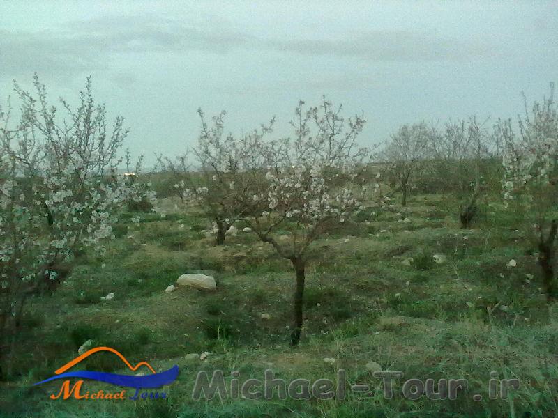 تفرجگاه یال