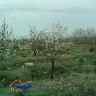 تفرجگاه یال