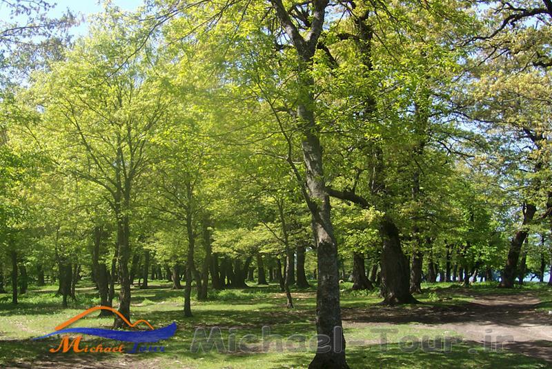 10 جای دیدنی سمنان در تابستان 10 جای دیدنی سمنان در تابستان
