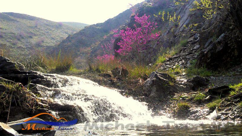 روستای کلاته آهن