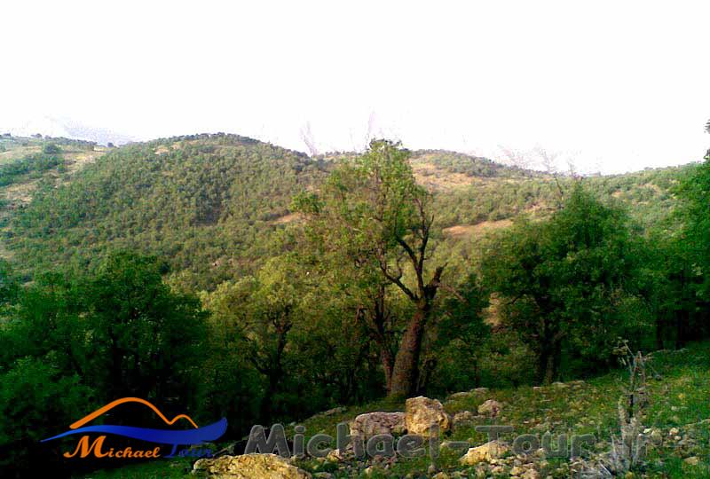 جاهای دیدنی یاسوج در پاییز جاهای دیدنی یاسوج در پاییز
