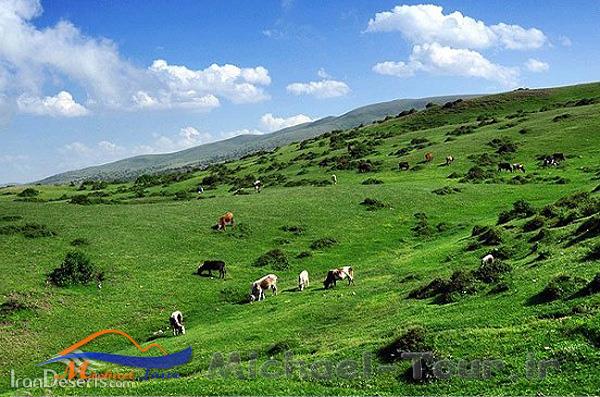 منطقه شکارممنوع دیلمان منطقه شکارممنوع دیلمان