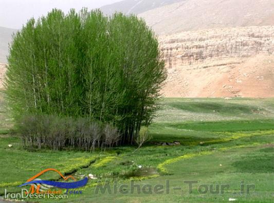 منطقه حفاظت شده دیمه