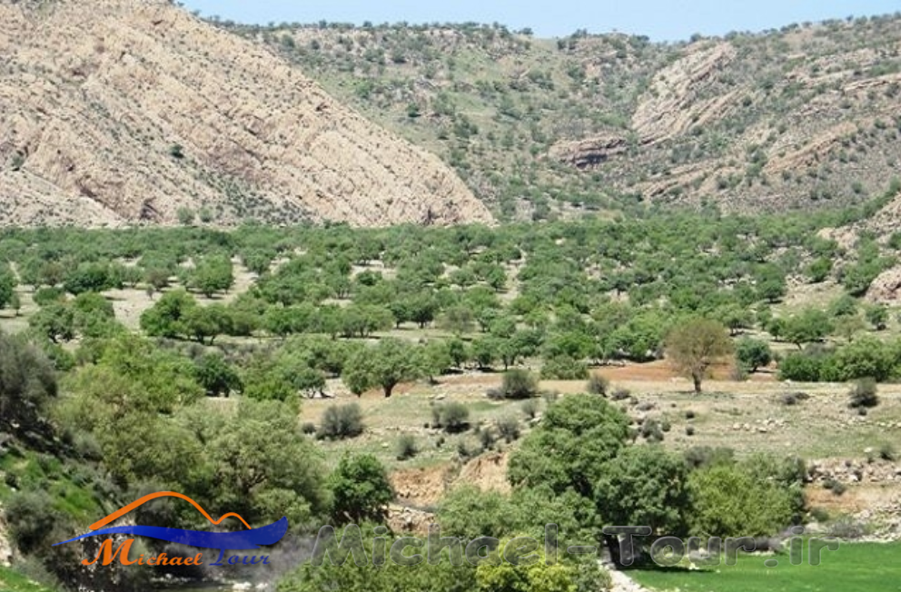 روستای هرایزر نورآباد