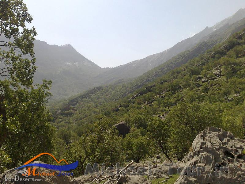 منطقه حفاظت شده کوه خامین 
