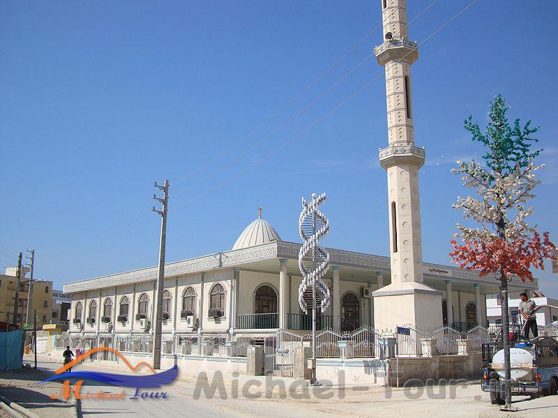 شهر نخل تقی 