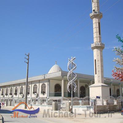 شهر نخل تقی