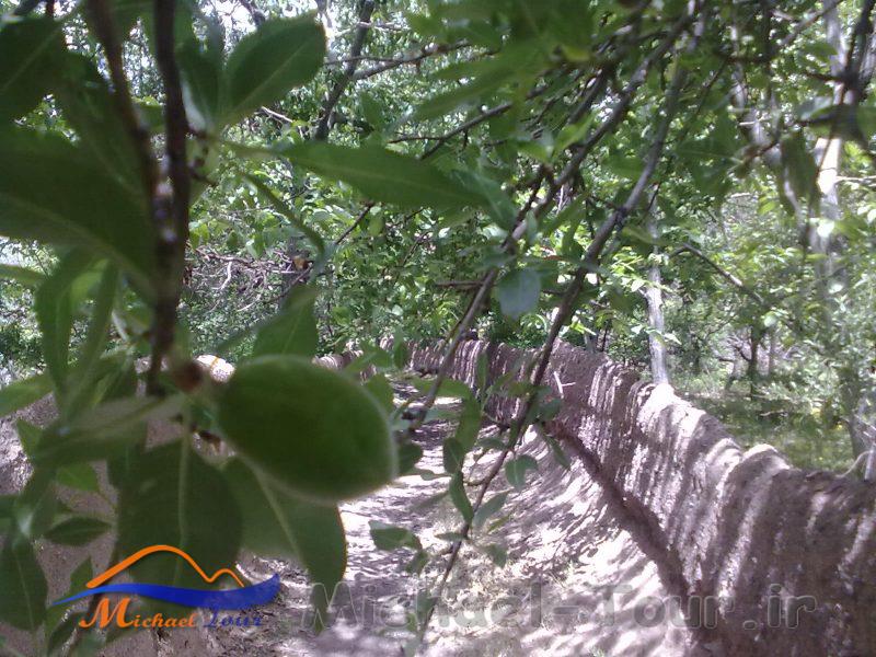 روستای علون آباد روستای علون آباد
