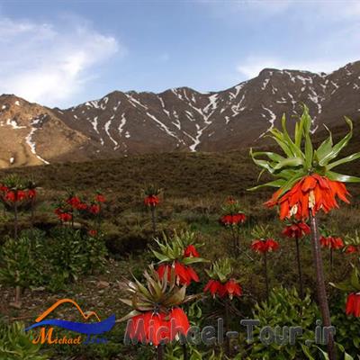 منطقه حفاظت شده گلستان کوه