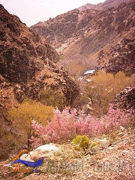 مسیر کوهپیمایی درکه