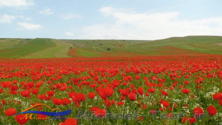 جاهای دیدنی شیراز در بهار