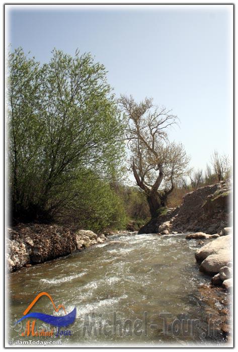 روستای کلم روستای کلم