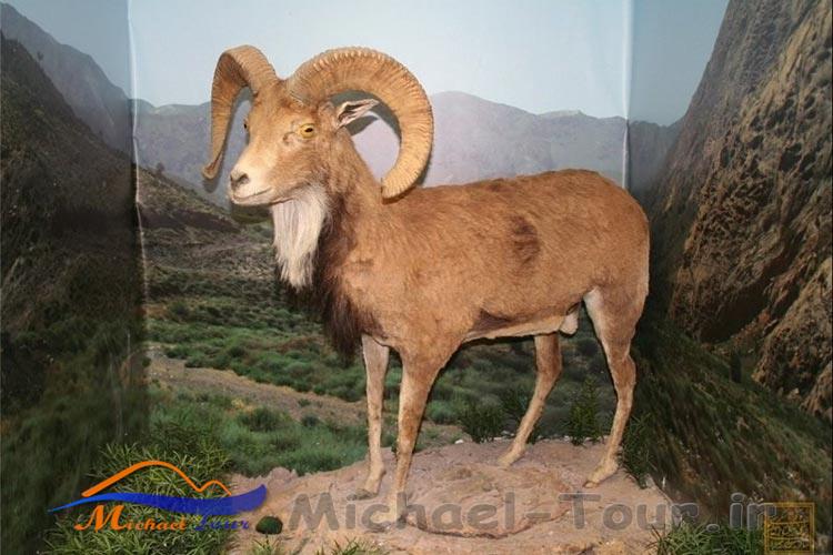 دیدنیهای بیرجند در بهار دیدنیهای بیرجند در بهار