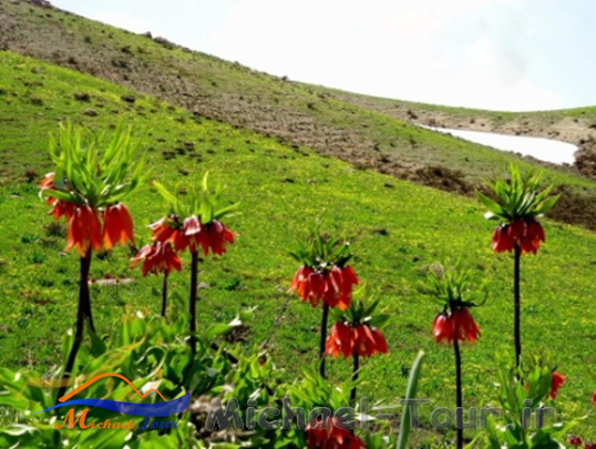 لاله زار فریدن لاله زار فریدن