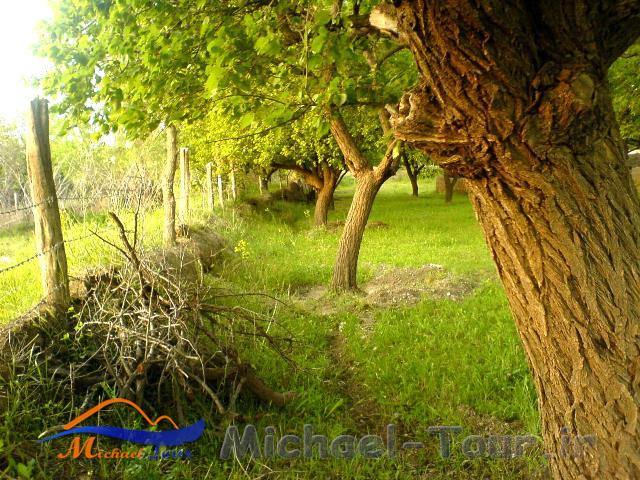 روستای شریف بیگلو روستای شریف بیگلو