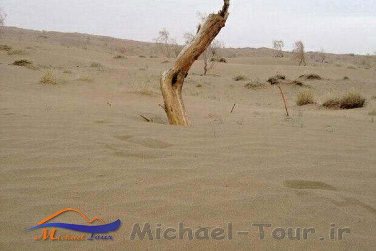 دیدنیهای بیرجند در بهار دیدنیهای بیرجند در بهار