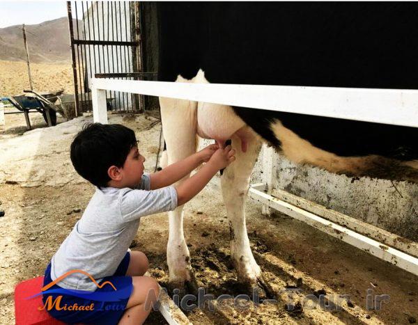 مزرعه گردشگری خورشید مزرعه گردشگری خورشید