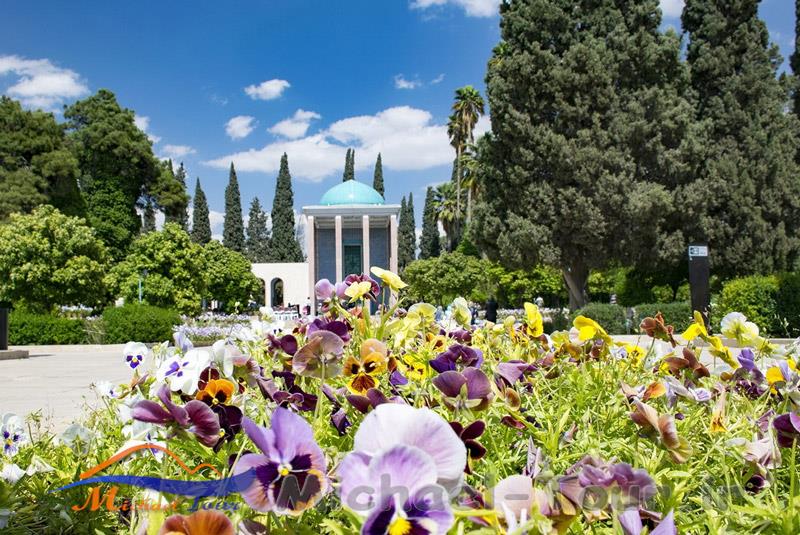 زمان مناسب برای سفر به شیراز زمان مناسب برای سفر به شیراز
