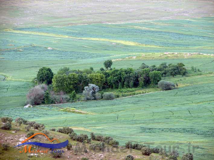 باغ کهره باغ کهره