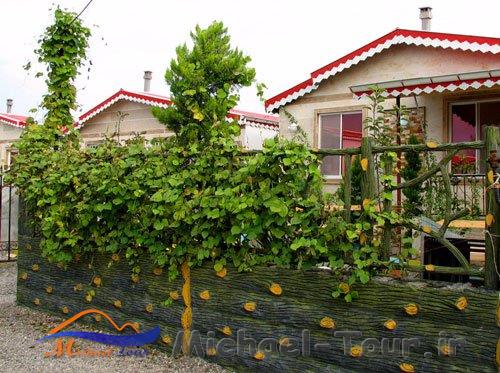 ناحیه ساحلی زیباکنار ناحیه ساحلی زیباکنار