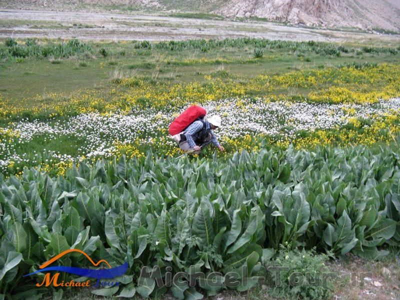 پارک ملی لار پارک ملی لار