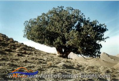 مجموعه غارهای جاورتن مجموعه غارهای جاورتن